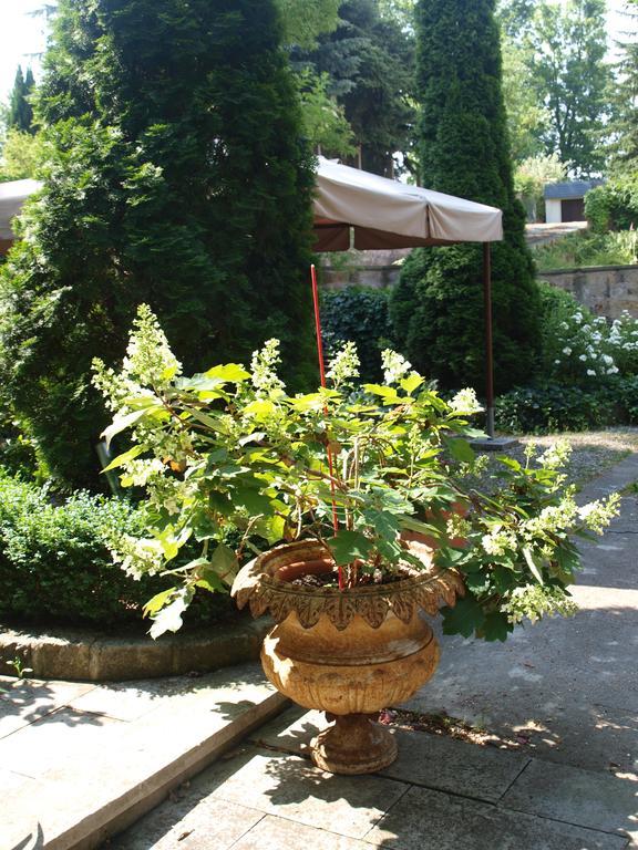 Pension Zur Koeniglichen Ausspanne Dresden Ngoại thất bức ảnh